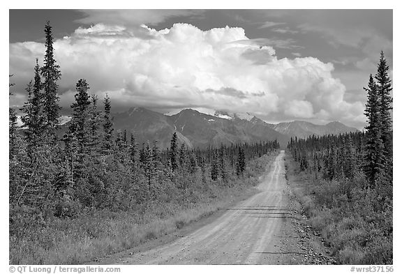 Nabesna Road, mid-afternoon. Wrangell-St Elias National Park, Alaska, USA.