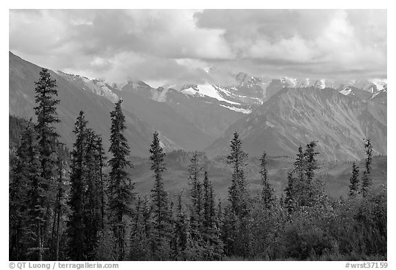 Spruce and Nutzotin Mountains. Wrangell-St Elias National Park (black and white)