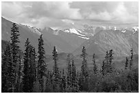 Spruce and Nutzotin Mountains. Wrangell-St Elias National Park, Alaska, USA. (black and white)