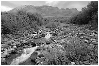 Fireweed, stream and Skokum Volcano. Wrangell-St Elias National Park, Alaska, USA. (black and white)