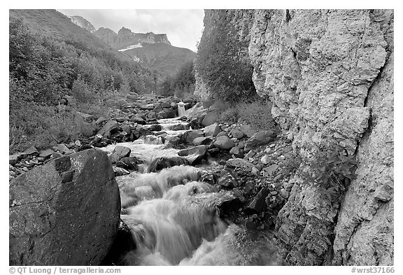 Fireweed, stream and cliff, Skookum Volcano. Wrangell-St Elias National Park (black and white)
