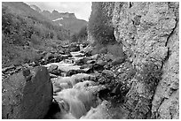 Fireweed, stream and cliff, Skookum Volcano. Wrangell-St Elias National Park ( black and white)