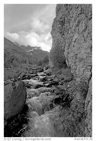 Stream and cliff, Skokum Volcano. Wrangell-St Elias National Park, Alaska, USA.