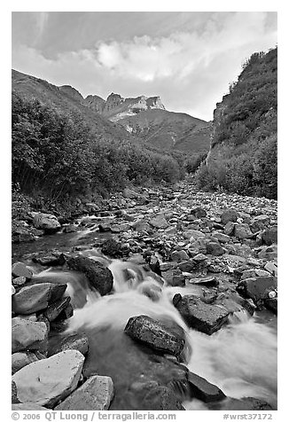 Stream, Skookum Volcano. Wrangell-St Elias National Park (black and white)