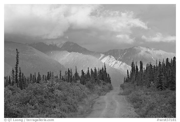 Gravel road leading to mountains lit by sunset light. Wrangell-St Elias National Park, Alaska, USA.