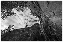 Looking up waterfall below Crystaline Hills. Wrangell-St Elias National Park ( black and white)