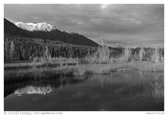 Snowy mountains and aspens reflected in Ruth Lake. Wrangell-St Elias National Park, Alaska, USA.