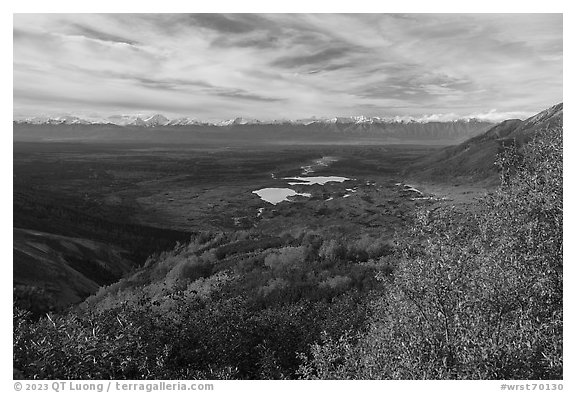 Chugatch Range and glacier basin in autumn. Wrangell-St Elias National Park (black and white)