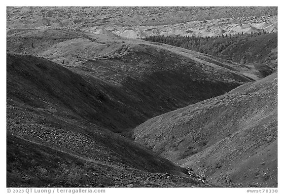 Valley carved by Bonanza Creek. Wrangell-St Elias National Park, Alaska, USA.