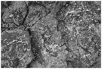 Close-up of colorful copper deposits. Wrangell-St Elias National Park ( black and white)