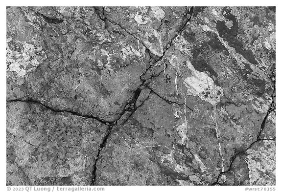 Close-up of blue copper minerals on rocks. Wrangell-St Elias National Park (black and white)