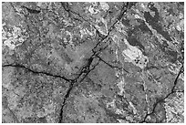 Close-up of blue copper minerals on rocks. Wrangell-St Elias National Park ( black and white)