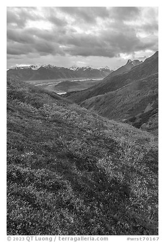 Tundra in autumn, Kennicott Glacier, and Wrangell Range. Wrangell-St Elias National Park (black and white)