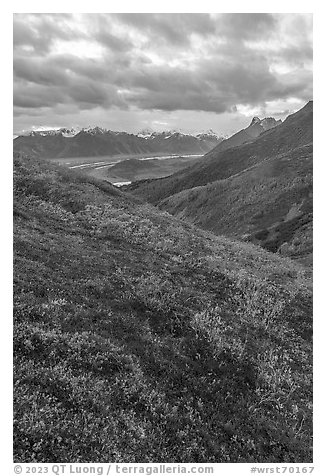 Tundra in autumn, Kennicott Glacier, and Wrangell Range. Wrangell-St Elias National Park, Alaska, USA.