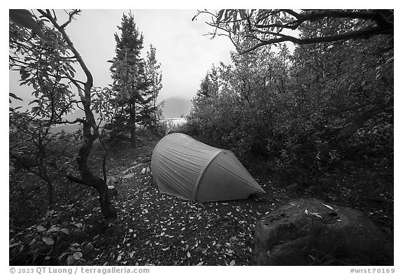 Tent at Jumbo Creek campsite and Root Glacier. Wrangell-St Elias National Park, Alaska, USA.