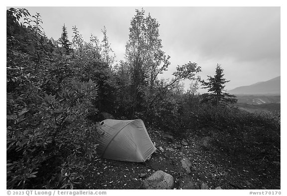 Jumbo Creek backcountry campsite in autumn. Wrangell-St Elias National Park (black and white)