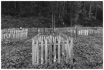 Fenced graves, Kennecott cemetery. Wrangell-St Elias National Park ( black and white)
