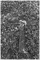 Wooden cross on the ground, Kennecott cemetery. Wrangell-St Elias National Park ( black and white)