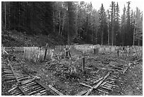 Kennecott cemetery. Wrangell-St Elias National Park ( black and white)