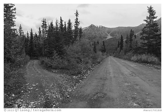 Old Wagon Road and new road. Wrangell-St Elias National Park, Alaska, USA.