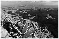 Pictures of Big Bend NP