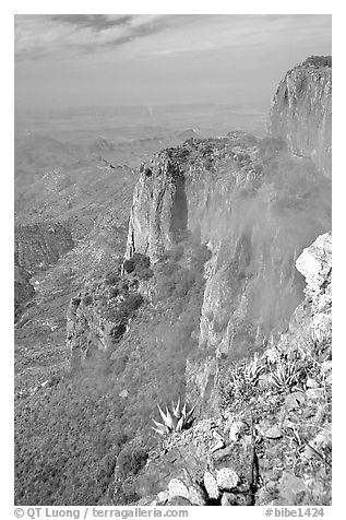 Cliffs and fog from South Rim, morning. Big Bend National Park, Texas, USA.