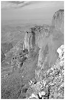 Cliffs and fog from South Rim, morning. Big Bend National Park, Texas, USA. (black and white)