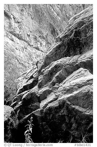 Rocks in Santa Elena Canyon. Big Bend National Park (black and white)