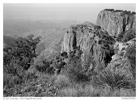 Cliffs and desert from top of South Rim. Big Bend National Park (black and white)