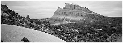 Landscape of white volcanic ash and rocks. Big Bend National Park (Panoramic black and white)