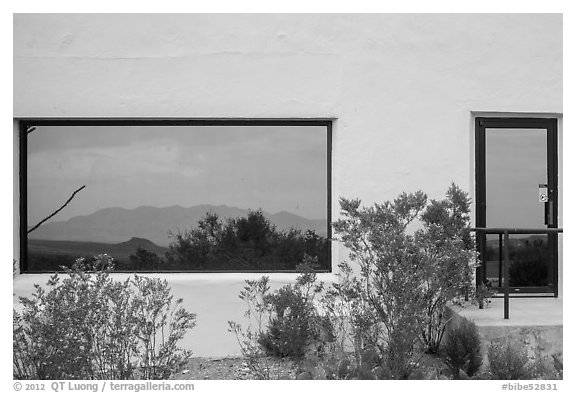 Shrubs, Chisos mountains, Persimmon Gap Visitor Center window reflexion. Big Bend National Park (black and white)
