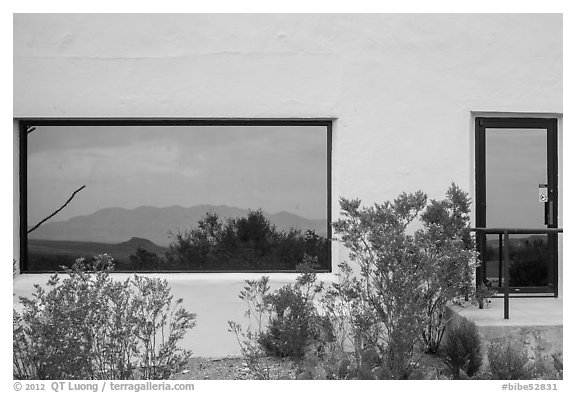 Shrubs, Chisos mountains, Persimmon Gap Visitor Center window reflexion. Big Bend National Park (black and white)