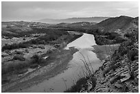 Ocotillo above Rio Grande River, sunset. Big Bend National Park ( black and white)