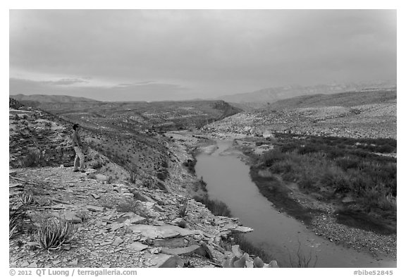 Park visitor looking, Rio Grande River. Big Bend National Park (black and white)