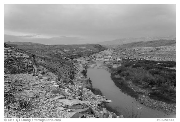 Park visitor looking, Rio Grande River. Big Bend National Park, Texas, USA.