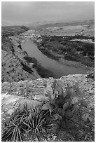 Cactus and Rio Grande Wild and Scenic River. Big Bend National Park, Texas, USA. (black and white)