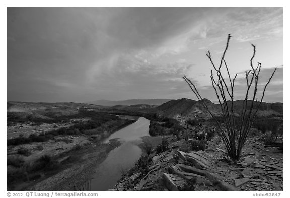 Ocotillo and Rio Grande Wild and Scenic River. Big Bend National Park (black and white)