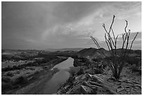 Ocotillo and Rio Grande Wild and Scenic River. Big Bend National Park, Texas, USA. (black and white)