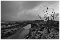 Ocotillo and Rio Grande Wild and Scenic River. Big Bend National Park, Texas, USA. (black and white)