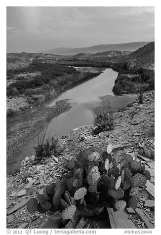 Rio Grande Wild and Scenic River, dusk. Big Bend National Park, Texas, USA.