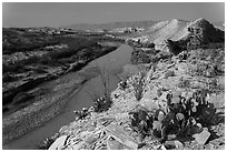 Cactus and Rio Grande River, morning. Big Bend National Park ( black and white)