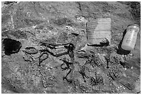 Mexican crafts, self-service stand. Big Bend National Park, Texas, USA. (black and white)