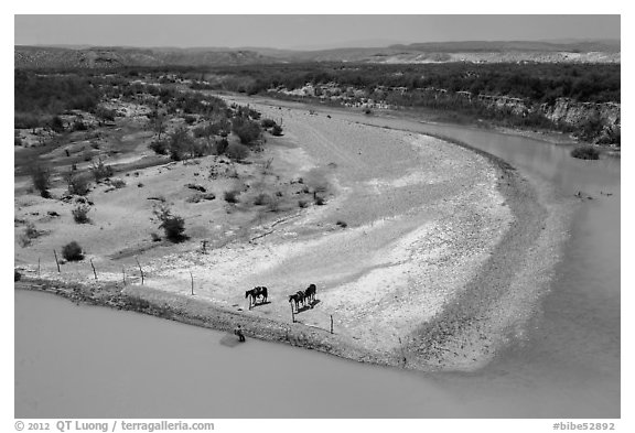 Horses, Riverbend of the Rio Grande. Big Bend National Park (black and white)