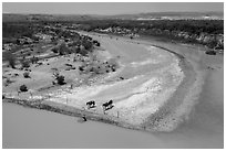 Horses, Riverbend of the Rio Grande. Big Bend National Park, Texas, USA. (black and white)