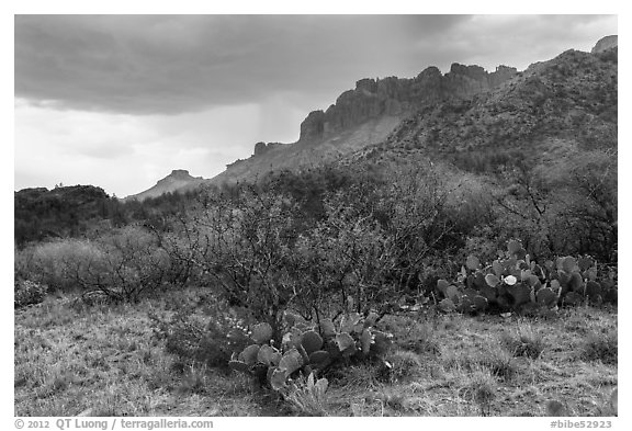 Storm over Chisos Mountains. Big Bend National Park, Texas, USA.