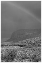 Rainbow over desert and Chisos Mountains. Big Bend National Park, Texas, USA. (black and white)