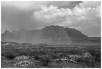 Clearing storm, rainbow, and Chisos Mountains. Big Bend National Park, Texas, USA. (black and white)