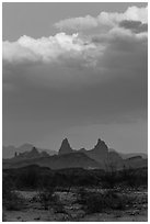 Mules Ears. Big Bend National Park ( black and white)