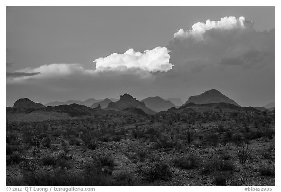 Dark desert landscape with last light falling on clouds. Big Bend National Park (black and white)