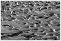 Close up of muds. Big Bend National Park, Texas, USA. (black and white)